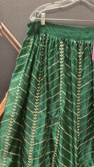Organza Lehenga Skirt with Gold Zari - Party Wear