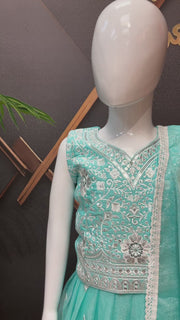 Blue Party wear Lehenga set