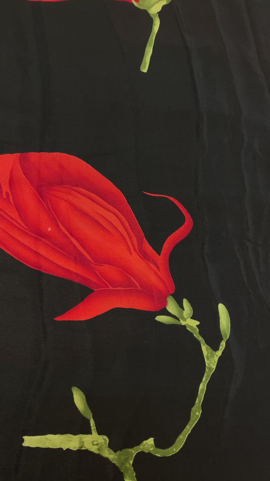 Black -Crape Silk Saree- Fall pico done